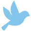 nianova